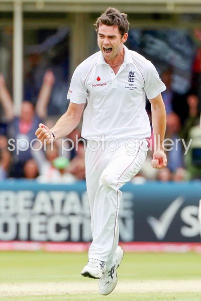 James Anderson Edgbaston celebration - Ashes 2009