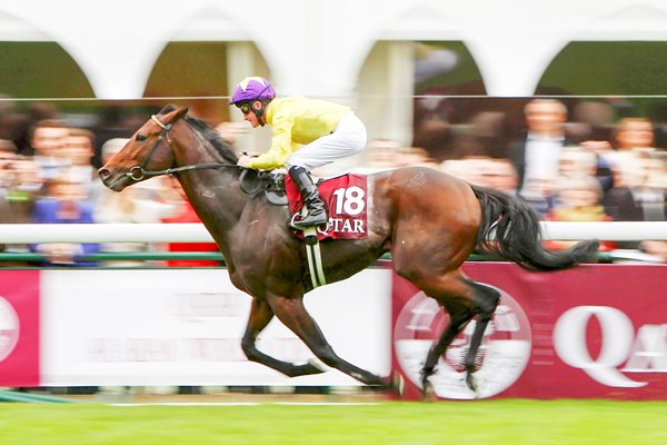 Sea The Stars wins 2009 Prix L'Arc de Triomphe