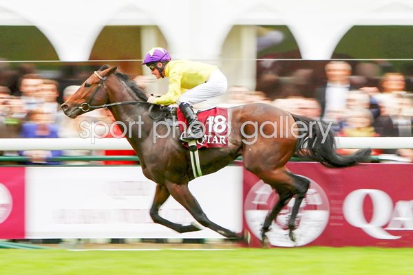 Sea The Stars wins 2009 Prix L'Arc de Triomphe