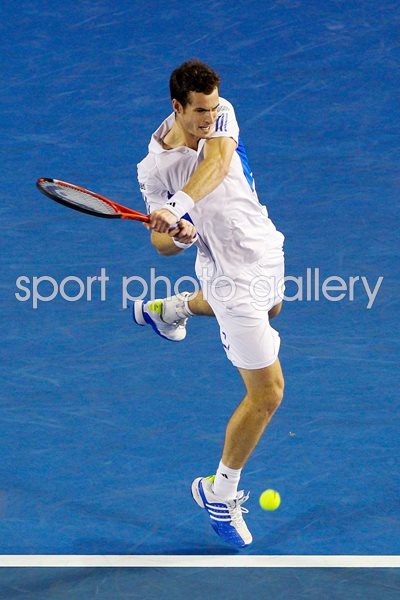 Andy Murray 2010 Aus Open Backhand