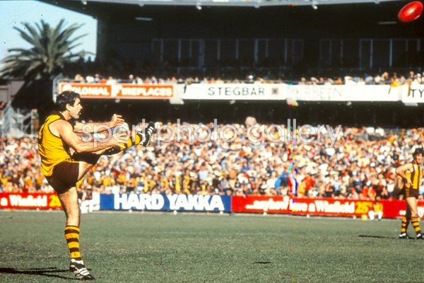Leigh Matthews - Hawthorn Hawks