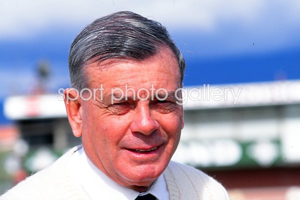 A portrait  of Harold 