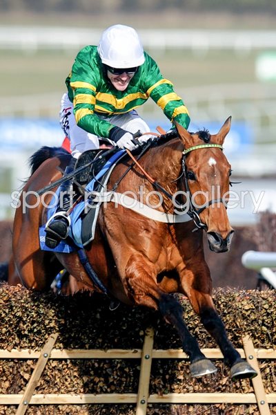 Tony Mccoy Binocular win Champion Hurdle 2010