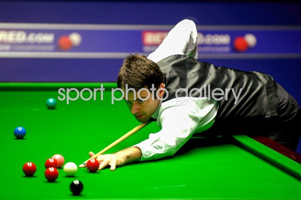 Ronnie O'Sullivan World Snooker 2010