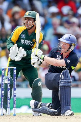 Eoin Morgan T20 World Cup action 2010