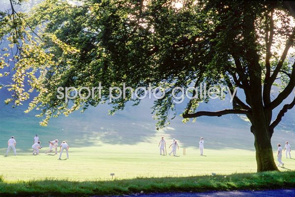 Village Cricket