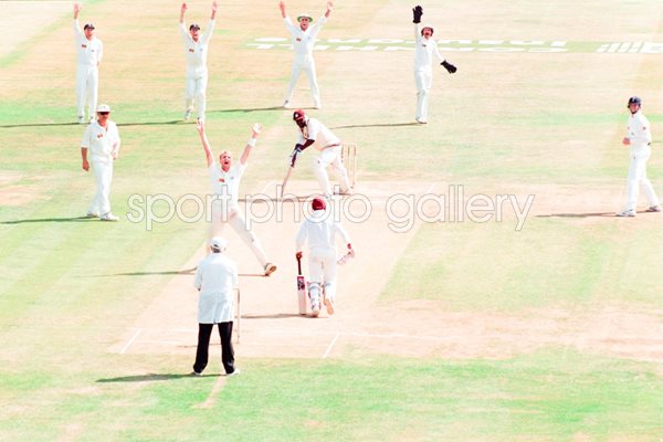 Cork Hat Trick v West Indies 1995