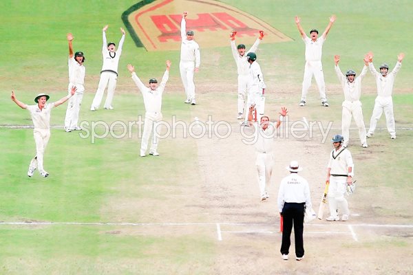 Shane Warne and Australia appeal