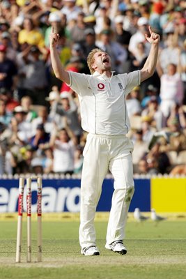 Matthew Hoggard celebrates - Ashes 2006