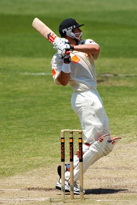 Matthew Hayden in action