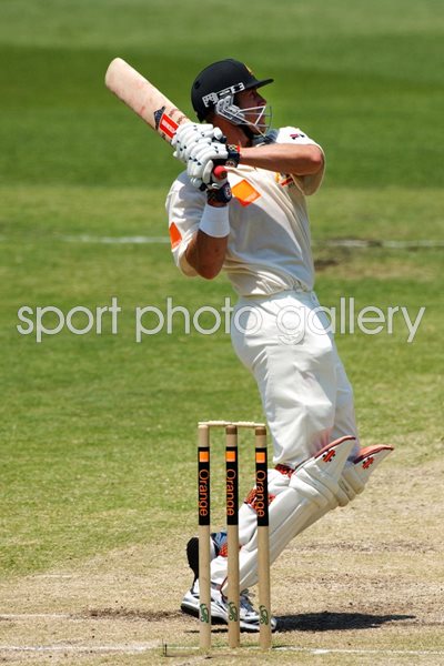 Matthew Hayden in action