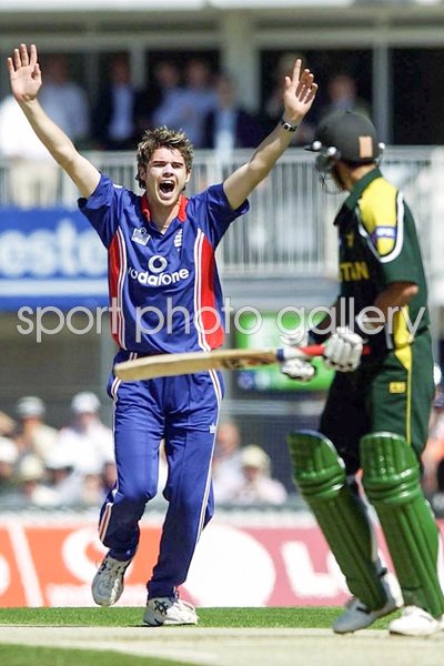 James Anderson celebrates 