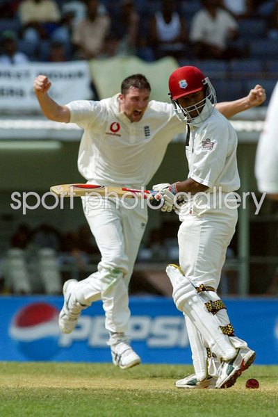 Steve Harmison celebrates 