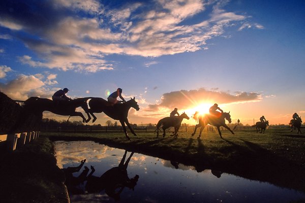 Fontwell Park Silhouette