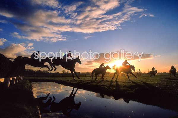 Fontwell Park Silhouette  