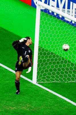 David Seaman World Cup 2002