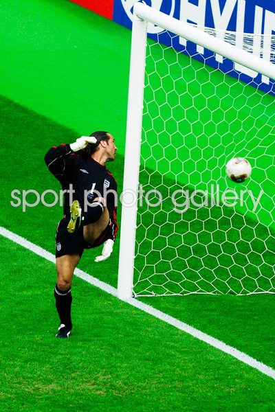 David Seaman World Cup 2002