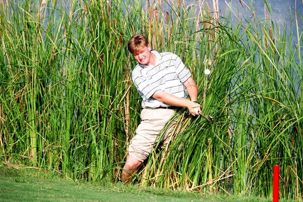 Ernie Els plays from the reeds