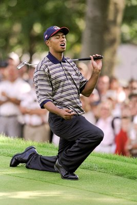 Tiger Woods Ryder Cup 1999