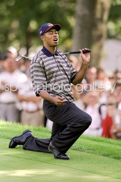 Tiger Woods Ryder Cup 1999