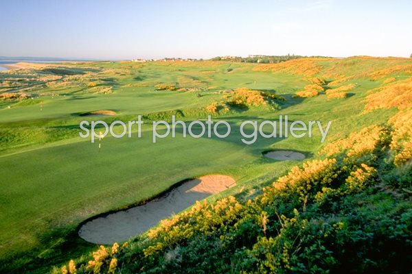 Par 3, 6th Hole Royal Dornoch Golf Club Sutherland Scotland