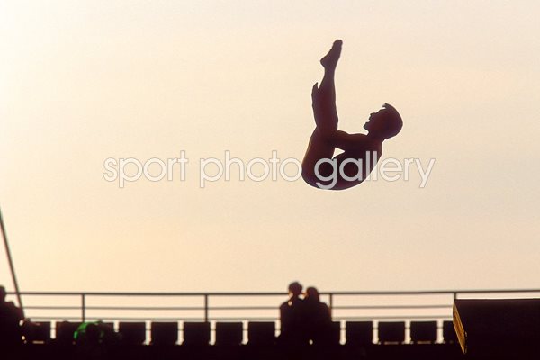 Silhouette of a diver in action 