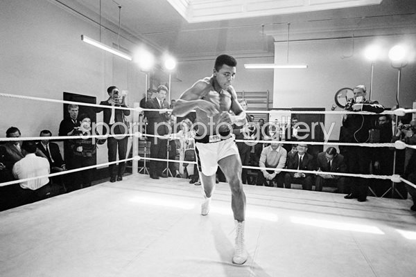 Ali Training