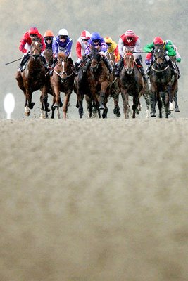 Lingfield Races