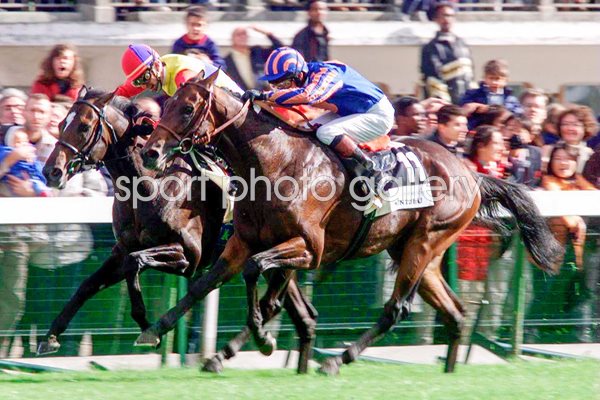 Mick Kinane and Montjeu 