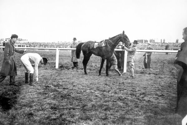 Dick Francis and Devon Loch