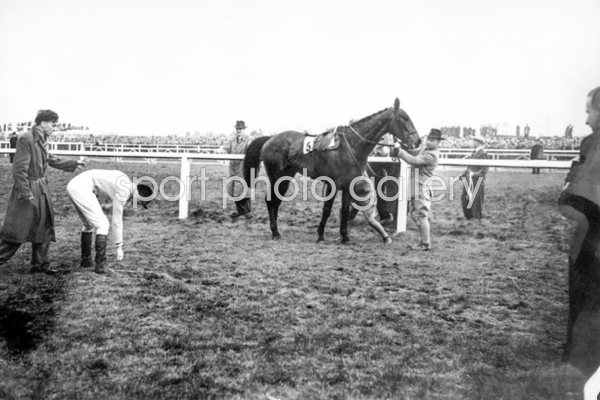 Dick Francis and Devon Loch