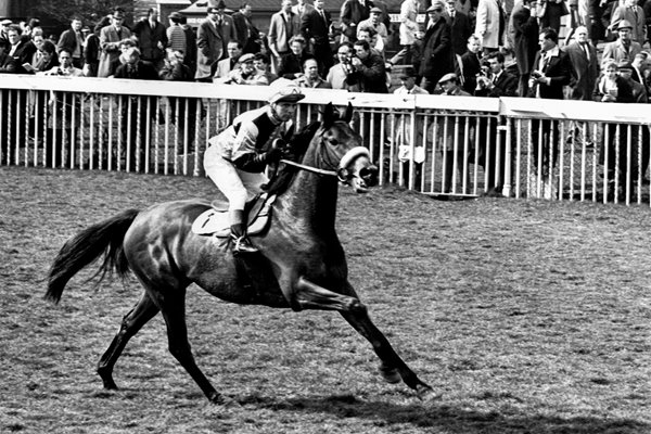 Red Rum 1968