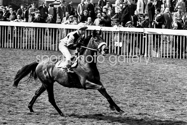 Red Rum 1968