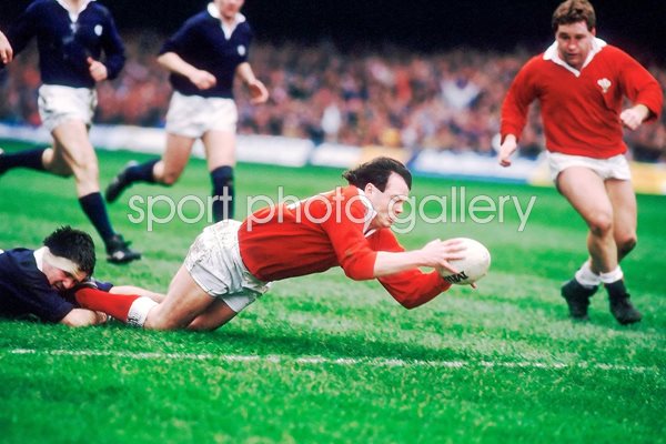 Ieuan Evans scores v Scotland 1988