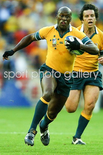 Wendell Sailor of the Wallabies in action