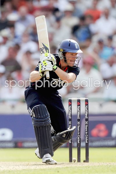 Eoin Morgan action v Australia - 3rd ODI 2010