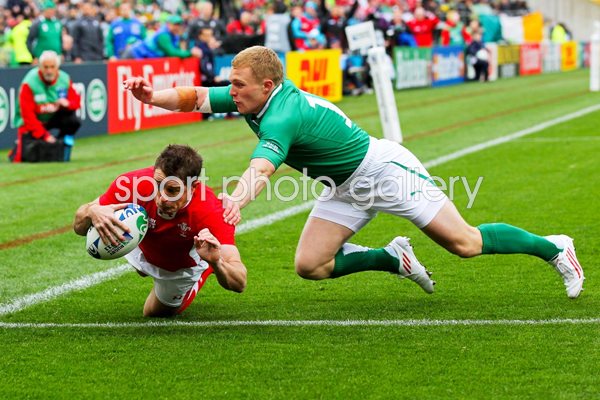 Shane Williams scores v Ireland 1/4 Final