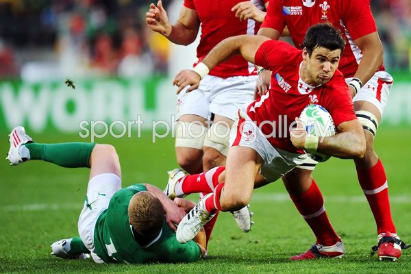 Mike Phillips Ireland v Wales Quarter Final 