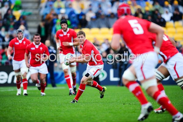 Rhys Priestland Wales v Ireland 1/4 Final