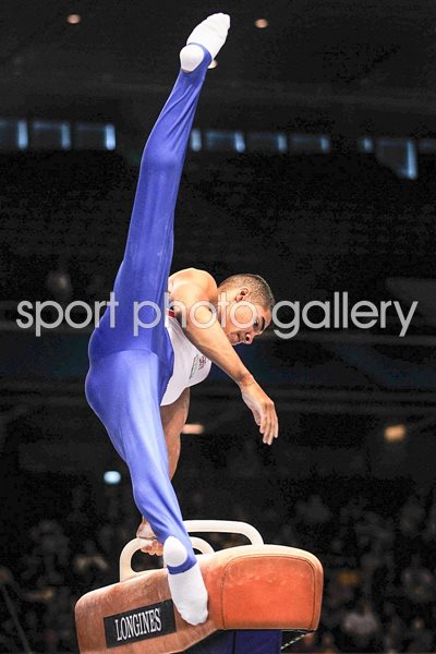 Louis Smith Gymnastics World Championships 2011