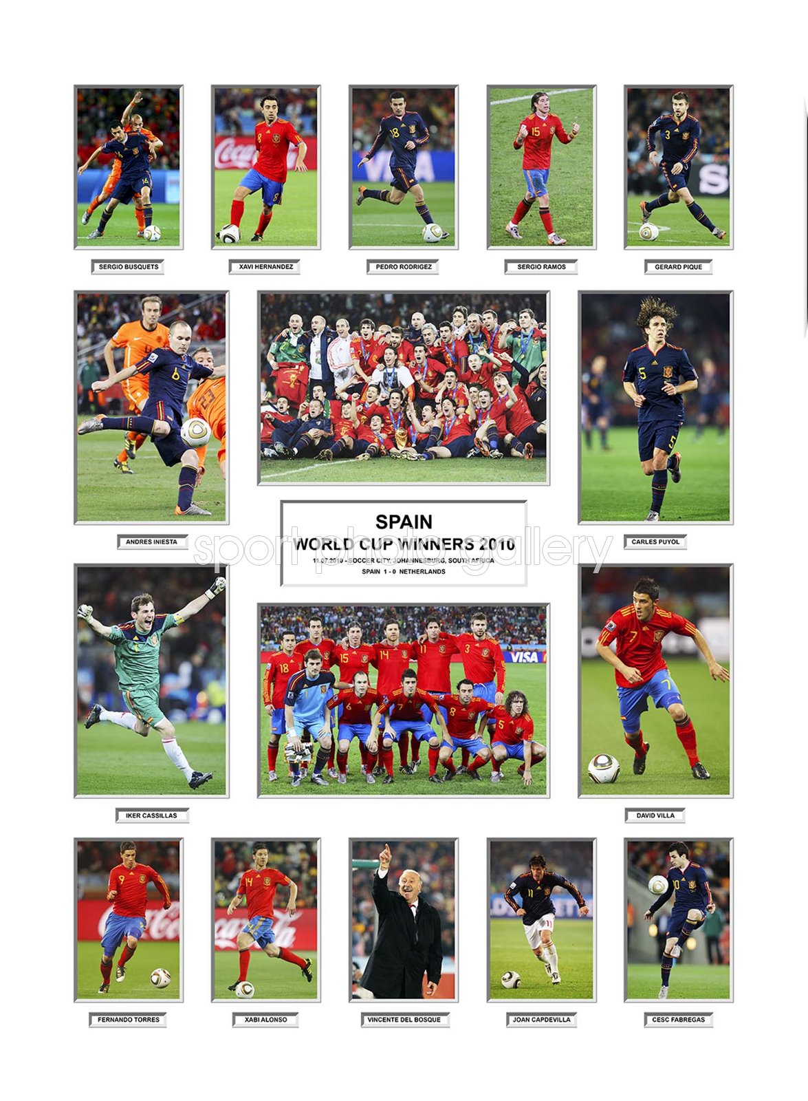 2010 World Cup Winners - Spain
