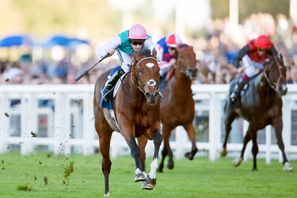 Frankel wins at Royal Ascot 2011