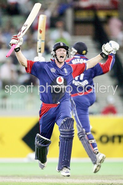 Paul Collingwood celebrates