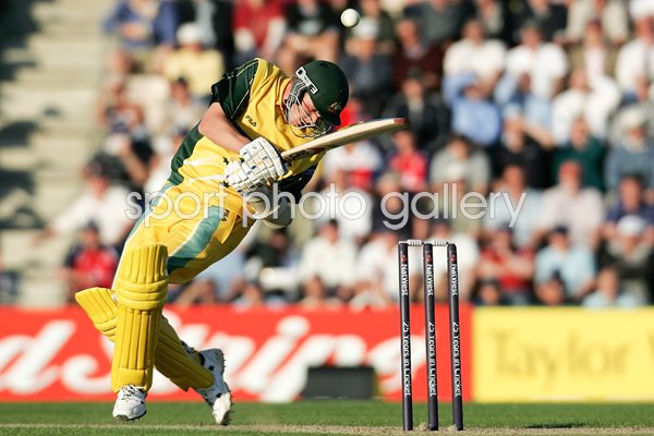 Brett Lee takes a blow 