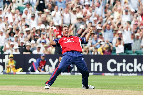 Steve Harmison celebrates