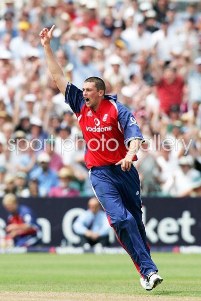 Steve Harmison celebrates 