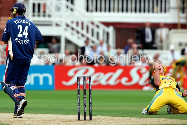 NatWest Series One Day International Final - England v Australia