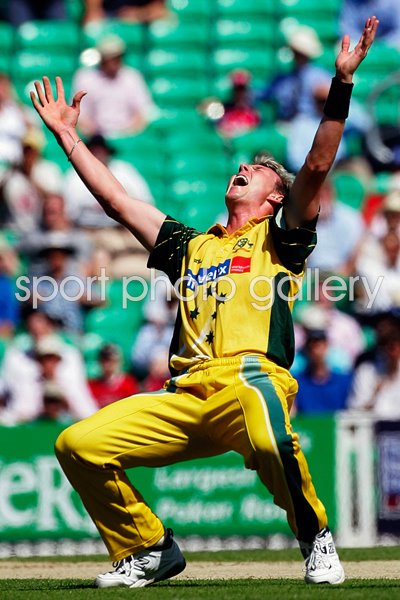 Brett Lee celebrates