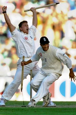 Darren Gough and Mark Butcher