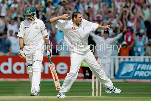 Steve Harmison celebrates
